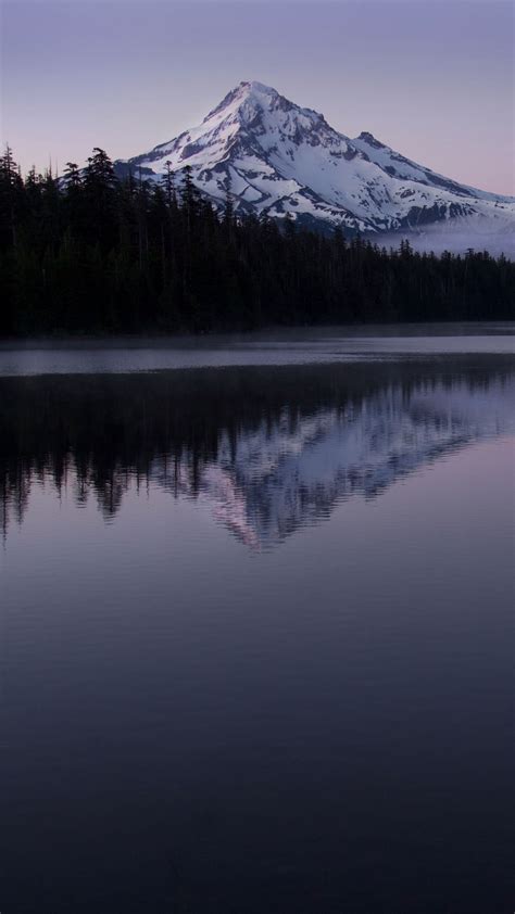Download Wallpaper 1440x2560 Mountain Peak Trees Lake Reflection