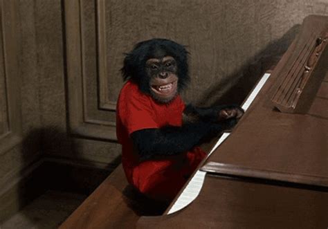 Monkey Piano  Find And Share On Giphy