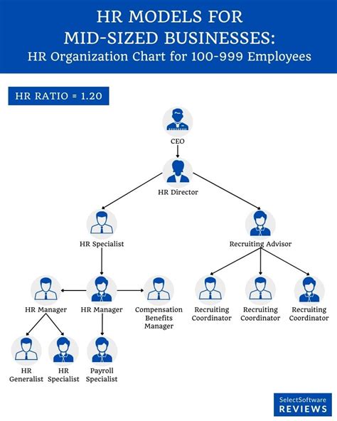 Hr Organization Structure And Chart Examples Types Ssr