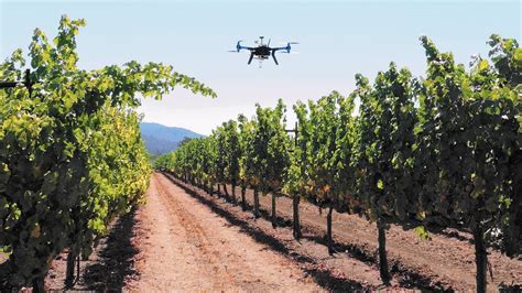 Drones May Provide Big Lift To Agriculture When Faa Allows Their Use