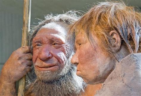Neanderthal Genome Sequenced Shedding New Light On Our Prehistoric Cousins Via Fox News