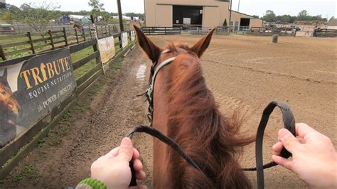 Gopro Horseback Riding Lesson 5 At Krowickis Touch Of Magic Stables