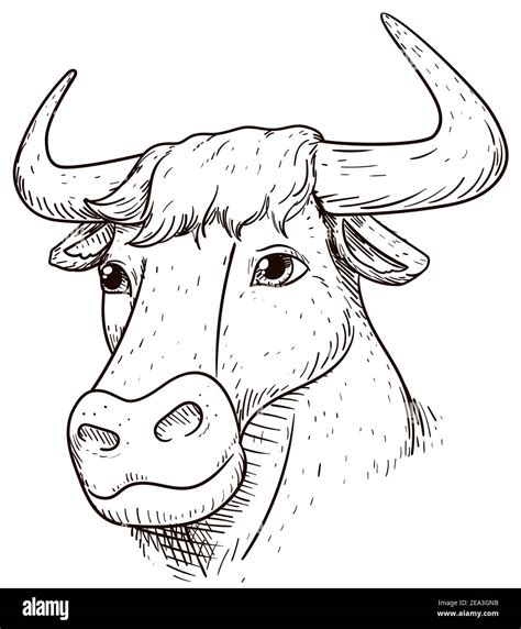 Ox Or Bull Head With Big Horns In Hand Drawn Style Isolated Over White