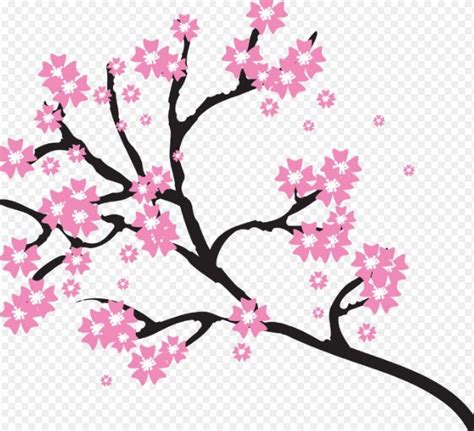Fantastis 11 Gambar Bunga Sakura Sketsa Richa Gambar