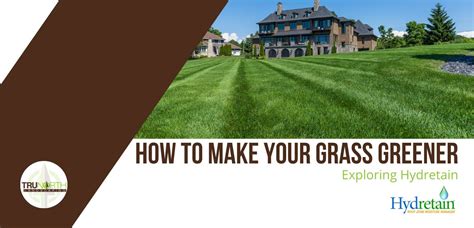 How To Make Your Grass Greener Exploring Hydretain Trunorth Landscaping
