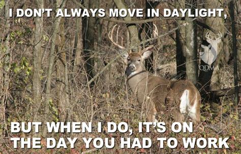 Pin By Alicia Marie On Hunting Fishing And Outdoors Deer Hunting