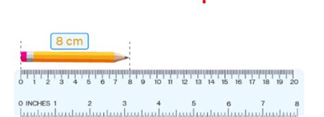 How To Measure The Length Of A Pencil By Using A Ruler 2 Marks