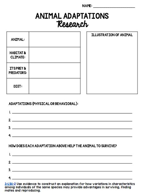 Animal Adaptations Research Graphic Organizers Graphic Organizers
