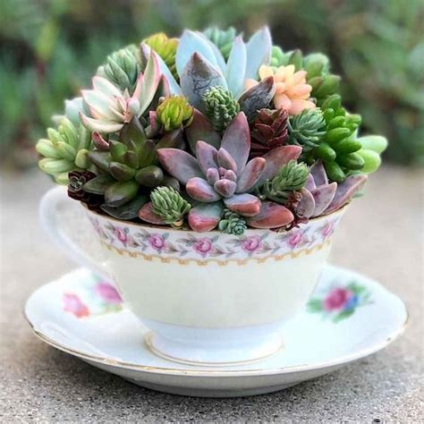 40 Easy Diy Teacup Mini Garden Ideas To Add Bliss To Your Home In 2020