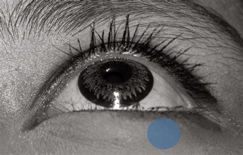 11 penyebab mata berdarah merupakan pemicu munculnya kelainan pada bagian mata yang menyebabkan mata merah dan timbul pendarahan ringan atau berat. Rahasia Arti Kedutan Kelopak Mata Kiri Bawah yang Jarang ...
