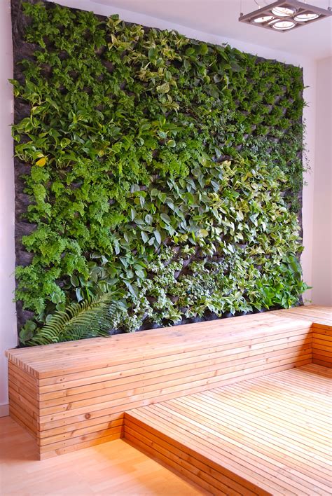 Build Indoor Plant Wall Youre Getting Better And Better Weblogs