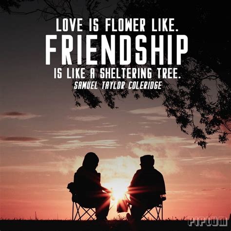Love Is Flower Like Friendship Is Like A Sheltering Tree Samuel