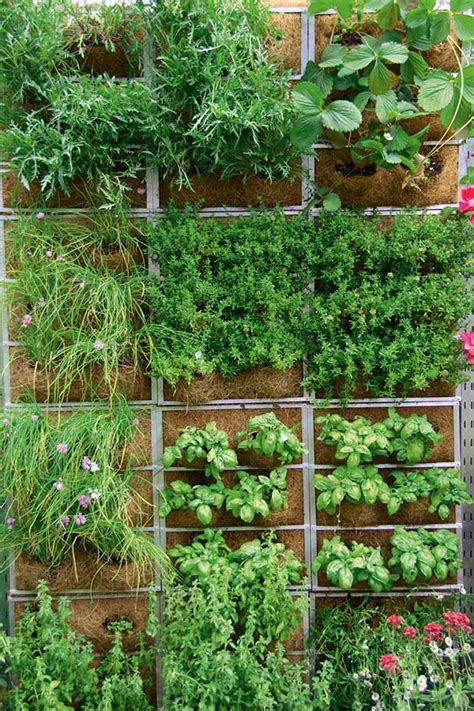 Use 43 Amazing Ideas Vertical Planting Shelf To Maximise A Small Space