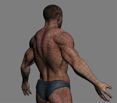 Male Anatomy Muscles Skeleton Skin 3d Model