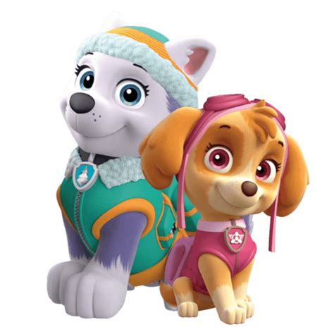 Paw Patrol Skye Everest Png Images And Photos Finder Images And