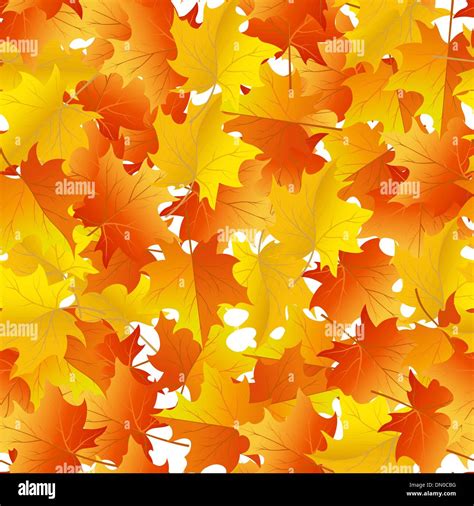 Maples Leaves Seamless Stock Vector Image And Art Alamy