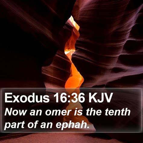 Exodus 16 Scripture Images Exodus Chapter 16 Kjv Bible Verse Pictures