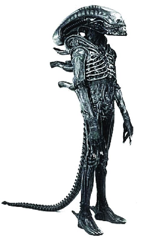 Gigers Original Alien Design Xenomorph Image Extracted From