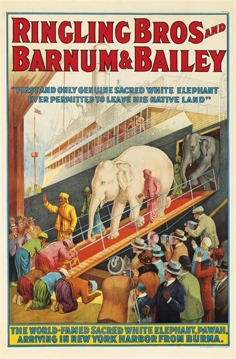 Ringling Bros White Elephant Circus Poster Vintage Circus
