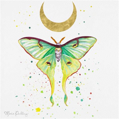 Luna Moth Watercolor Moth Artwork Luna Moth Tattoo Moth Tattoo Design