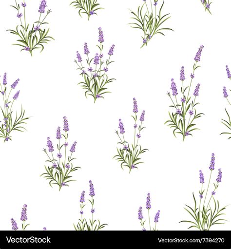 The Lavender Seamless Pattern Royalty Free Vector Image