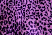 Purple Leopard Skin Background Free Stock Photo Public Domain Pictures