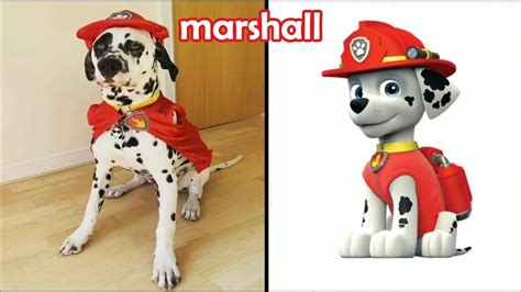 Paw Patrol Characters In Real Life 23 Youtube