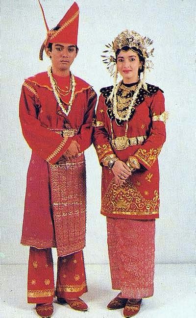 gambar  nama baju adat daerah   provinsi seni budaya
