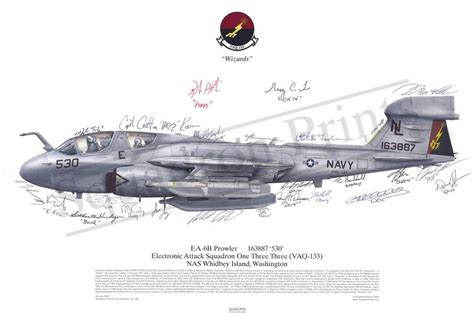 Ea 6b Prowler Signed Print Squadron Prints