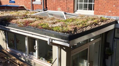 Premium Sedum Green Roof Diy Green Roof Trays Uk