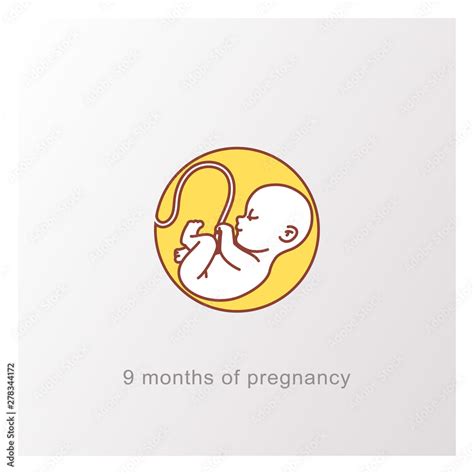 Baby In Womb Fetus Symbol Round Logo Stock Vector Adobe Stock