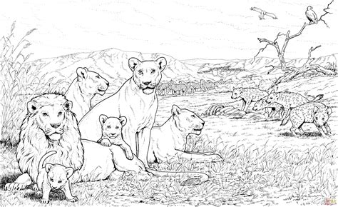 650 x 844 file type: Lion Pride and Hyenas coloring page | Free Printable ...