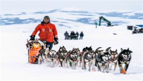 Norwegian Musher Thomas Waerner Wins Iditarod Trail Sled Dog Race On