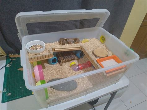 Hamster Bin Cages By Philippine Hamster Keepers Hamster Toys Hamster