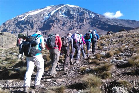 Mount Kilimanjaro Climbing Wild Peak Adventures