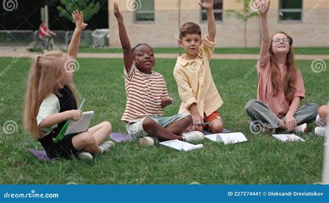Diverse School Children Raising Hands During Lesson Outdoors Stock