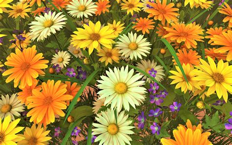 Download Yellow Flower White Flower Gerbera Daisy Nature Flower K Ultra HD Wallpaper