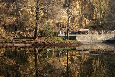 Von den wäldern japans über die botanische vielfalt des mittelmeerraums bis hin zu einem alpinum reicht diese blumige reise. Botanischer Garten in Osnabrück Foto & Bild | landschaft ...