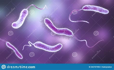 Vibrio Mimicus Bacteria Stock Illustration Illustration Of Bacteria