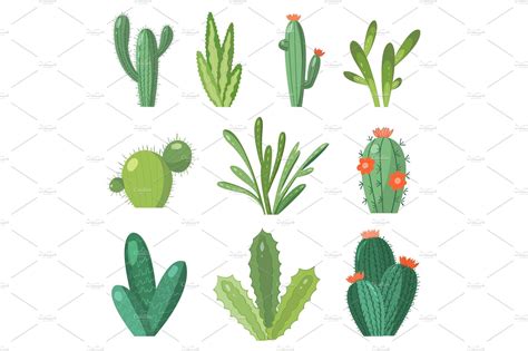 Cartoon Cactus Set Vector Set Of By Inna On Dribbble
