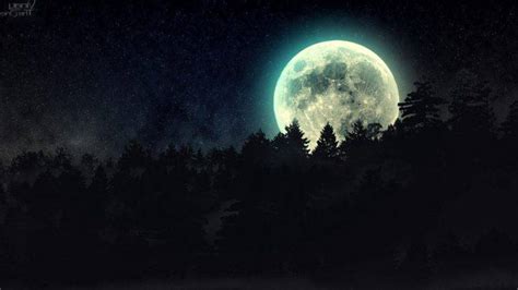 Affordable and search from millions of royalty free images, photos and vectors. night, Moon, Forest, Stars Wallpapers HD / Desktop and ...