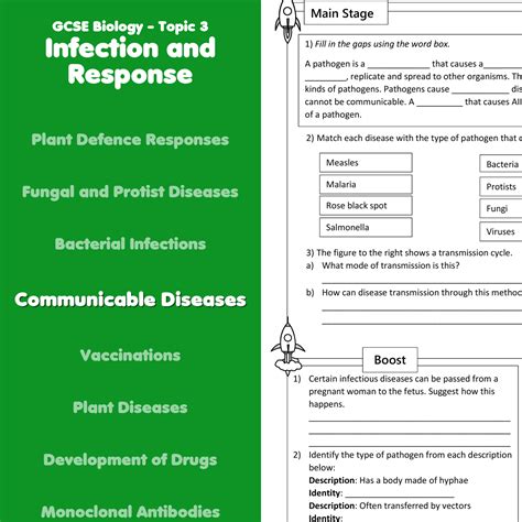 Infectious Disease Worksheet