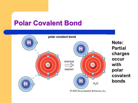 What Is Polar Covalent Bond