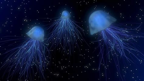 The deeper part of the sea or ocean in which no light penetrates. 3d blender jellyfish deep sea