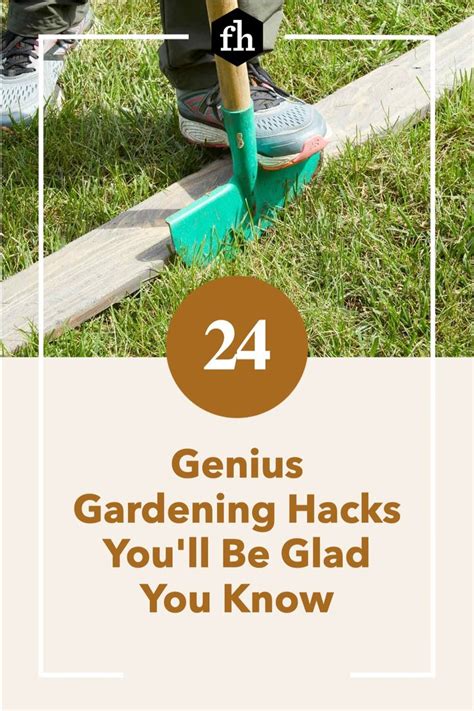 24 genius gardening hacks you ll be glad you know in 2021 gardening tips beautiful gardens
