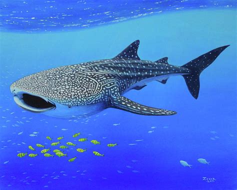 Silhouette Whale Shark Painting Whale Shark Photo Instant Download