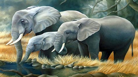 Elephant[2560x1440] : wallpaper