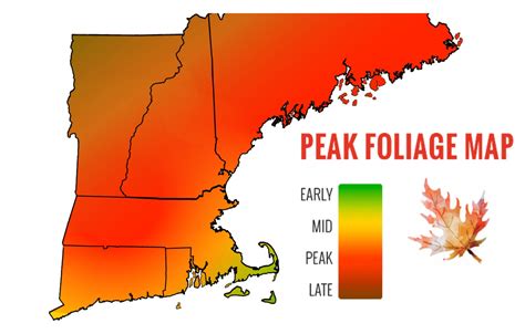 Update Fall Foliage In Western Massachusetts Still On Track This Year
