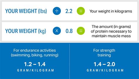 Daily Nutrition Intake Calculator For Muscle Gain Blog Dandk