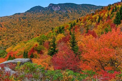 Grandfather Mountain In Peak Fall Color 2020 Oc 1080x720